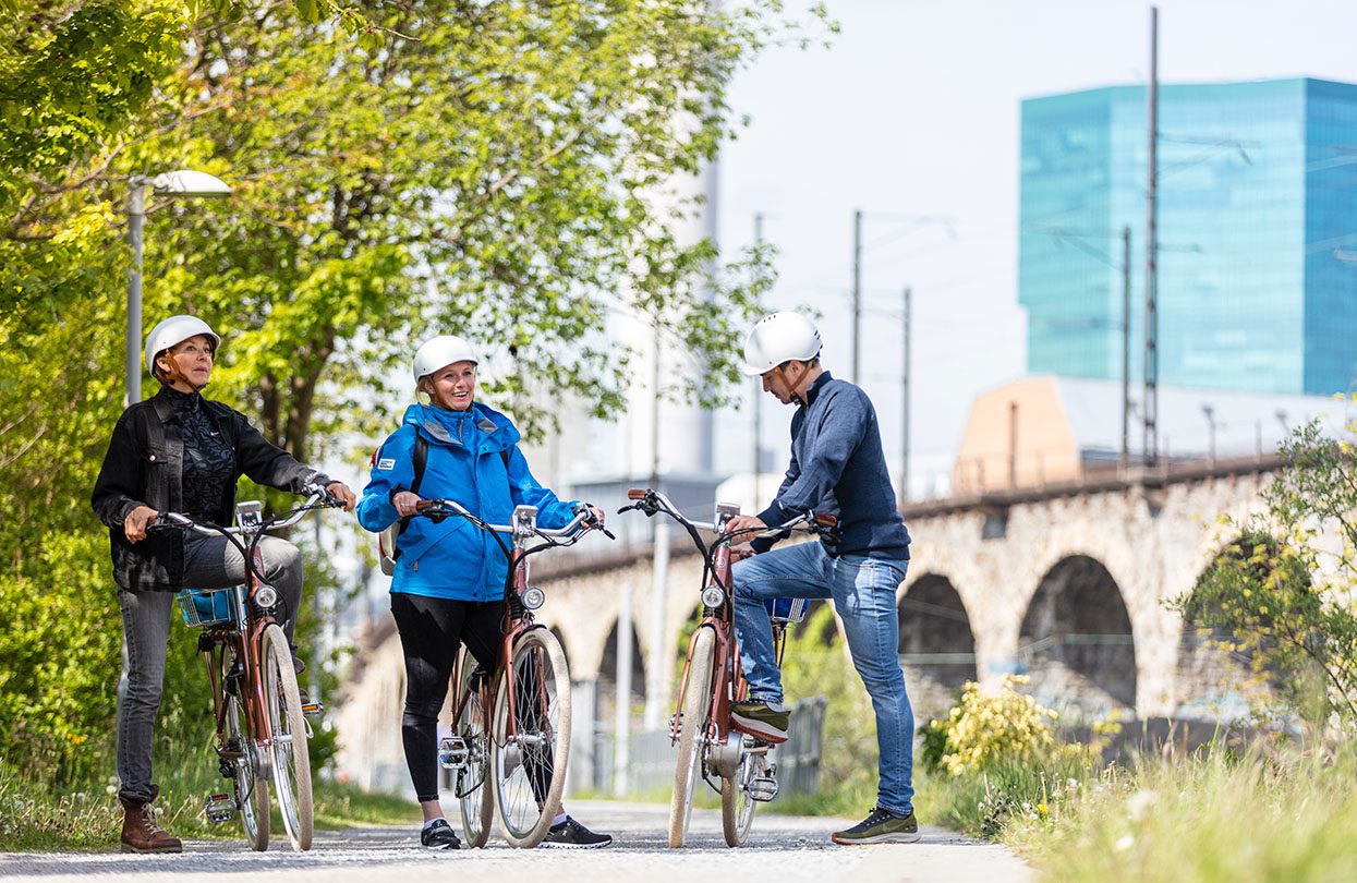 E-Bike Tour, image by dominikbaur.com, Zürich Tourismus