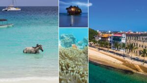 Out of This World Experiences in Zanzibar You Cant Miss Out of This World Experiences in Zanzibar You Cant Miss