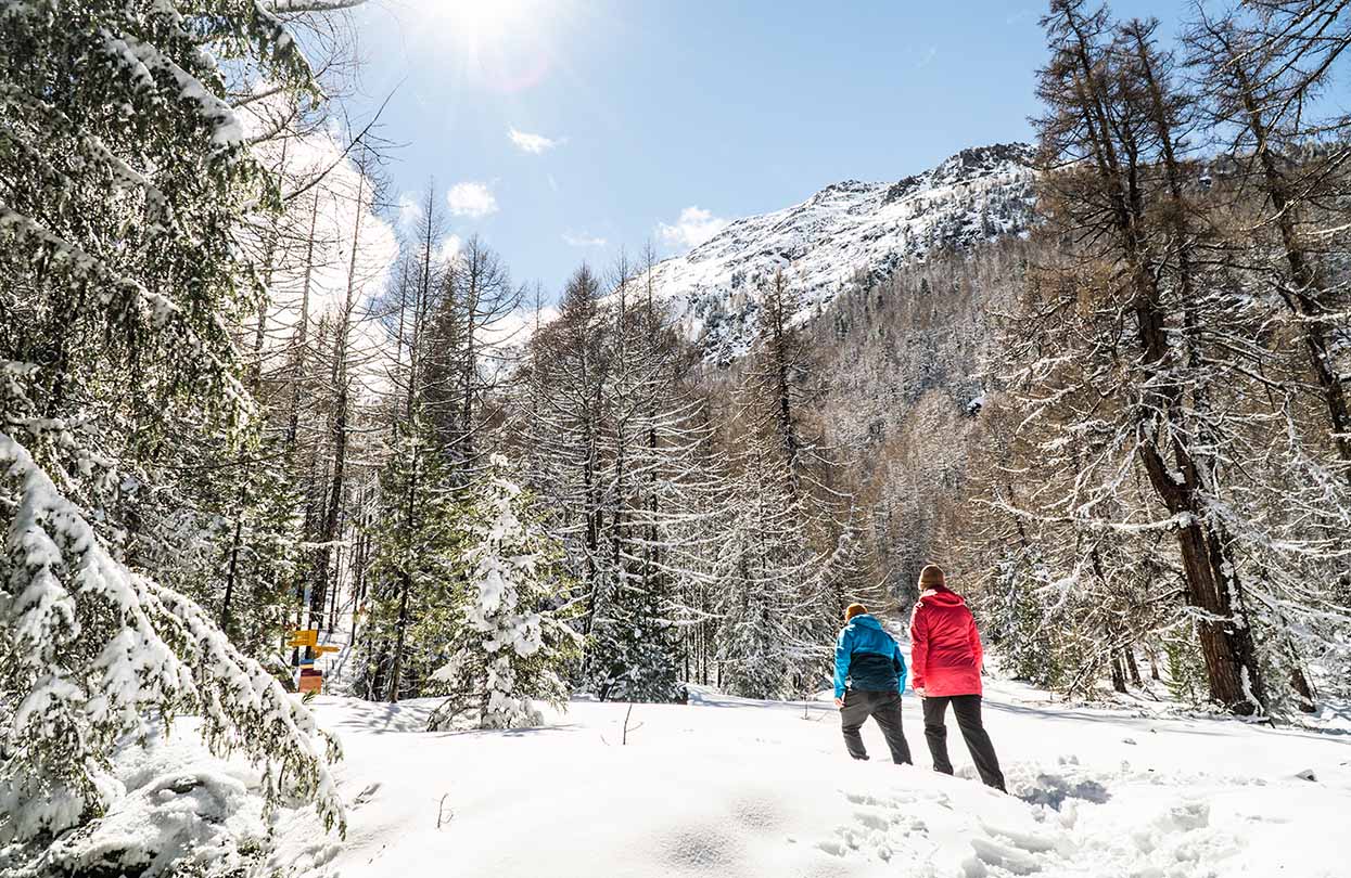 Winter hike in Saas Valley, Image Copyright Saastal Tourismus AG